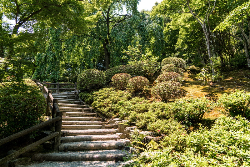 tranquility, asia, japan stairs, staircase, japanese, railing, daytime, green, arashiyama, stairs, nature, growth, tranquil scene, green color, peaceful