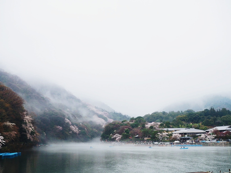 travel destinations, kyoto, day, sky, mountains, 1080P, lake, tranquil scene, land, plant, outdoors, tranquility, japan, boats, forest, cherry blossoms