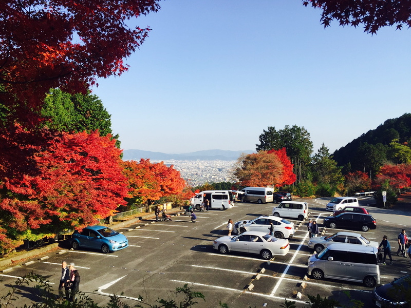 autumn, nature, transportation, stationary, car, road, street, change, travel, sky, city, plant, land vehicle, day, incidental people, clear sky, tree