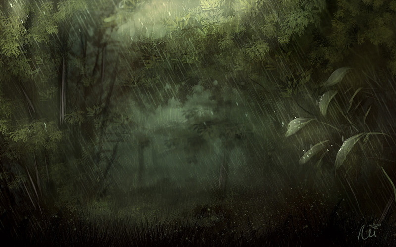 lake, rain, tree, area, spooky, nature, rainforest, no people, floral, fog, raindrop, growth, green color, reflection, water, rug, beauty in nature, 720P