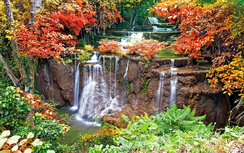 long exposure, leaf, motion, tree, waterfall, water, plant, blurred motion, 1080P, no people, plant part, beauty in nature, flowing water, nature, growth