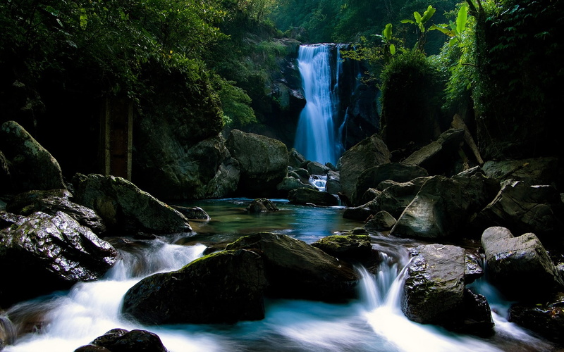 beauty in nature, motion, rock formation, forest, water, flowing water, no people, landscape, scenics - nature, nature, rock - object, blurred motion, tree