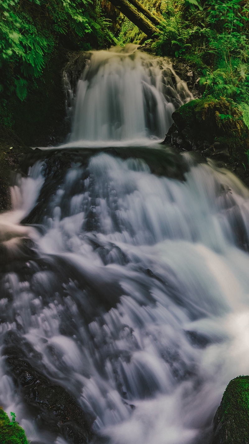 land, motion, flowing, purity, nature, rock - object, blurred motion, water, flowing water, long exposure, plant, power in nature, rainforest, landscape