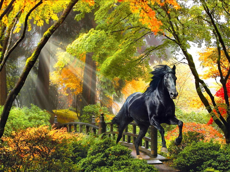 enchanted, autumn, painting, rays, bridge, colors, glow, horse, magical, run, trees, beautiful, forest, fall, 1080P