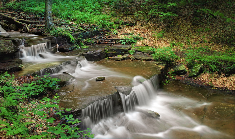 beside, Gorge, cascades, freshness, Endless Mountains, Sullivan County, waterstream, falling, creative commons, Falls Run, tropical Rainforest, waterfall