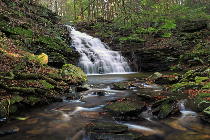 leaf, cascades, trees, stream, wet, waterfall, West Branch, nature, water, tree, rock - Object, ravine, hiking, Nature Trail, scenics, freshness, 5K, Loyalsock State Forest
