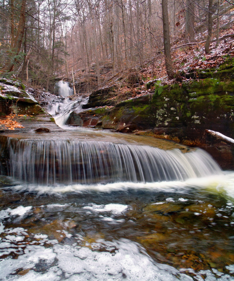 daytime, photo, snow, hiking, freshness, leaf, creek, outdoors, Endless Mountains, Sullivan County, tree, beauty In Nature, lapse, creative commons, Overhang