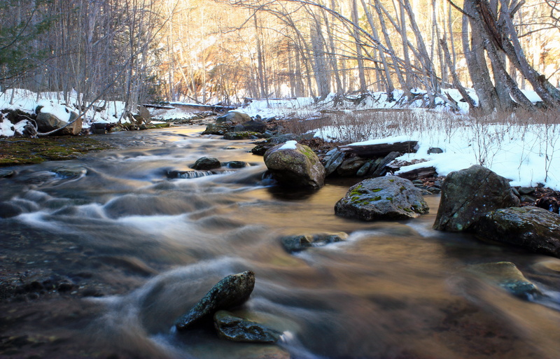 rocks, Pennsylvania, bear, trees, lapse, tree, snow, Revisited, hiking, covered, nature, Sullivan County, scenics, time lapse photography, forest, stream