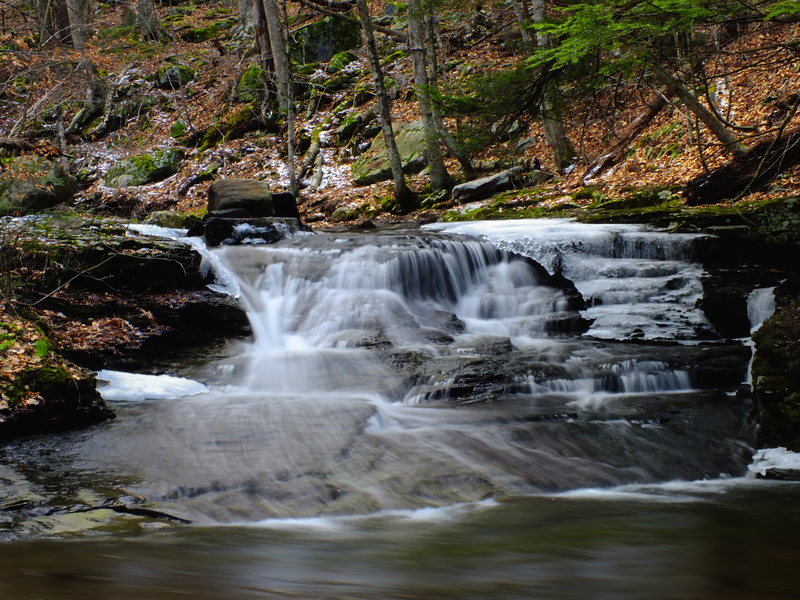 ice, freshness, outdoors, mountain, creek, scenics, Endless Mountains, ravine, hiking, tree, rock - Object, Worlds End State Park, Run, Loyalsock State Forest