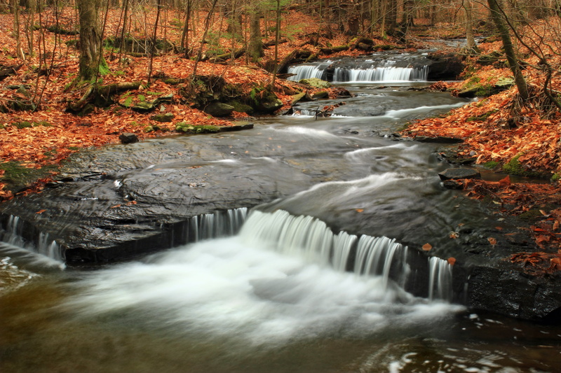 trees, landscape, ravine, beauty In Nature, waterfalls, leaf, leaf litter, hiking, waterfall, West Branch, cascades, scenics, nature, Sullivan County, outdoors