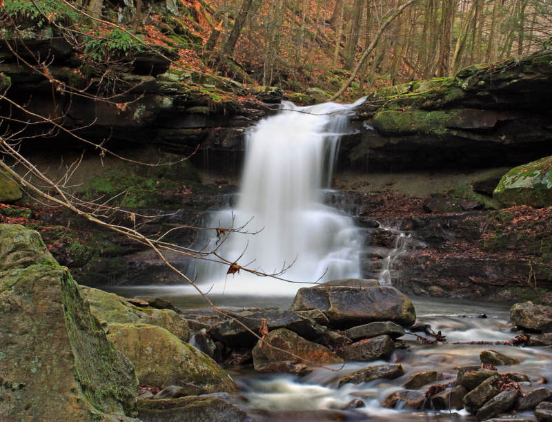 nature, near, Loyalsock State Forest, rocks, mossy, tree, Gorge, waterfall, Falls, rock - Object, water, ravine, Endless Mountains, daytime, waterfalls