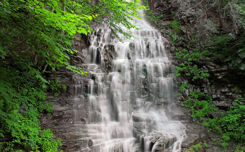 growth, green color, Moss, State, loyalsocktrail, water, curtain, nature, Mountains, no people, tranquility, Pennsylvania, ravine, Wild, kettlecreekgorgenaturalarea