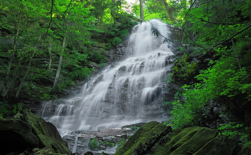 loyalsock, Endless, solid, hillsgrove, State, Stream, sullivan, rock, angelfalls, Natural, ravine, growth, cascades, loyalsockstateforest, illustration