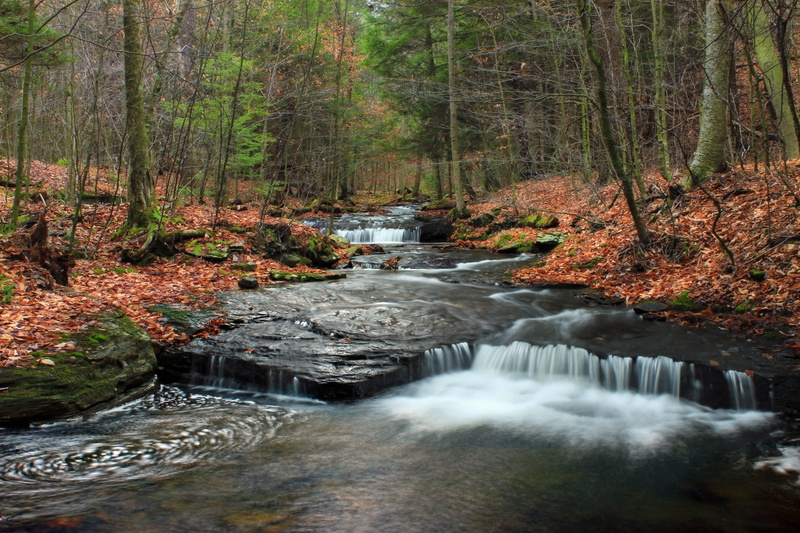 hiking, river, waterfall, Pennsylvania, Ketchum, photographic, outdoors, stream, forest, Nature Trail, West Branch, 5K, winter, freshness, Loyalsock State Forest