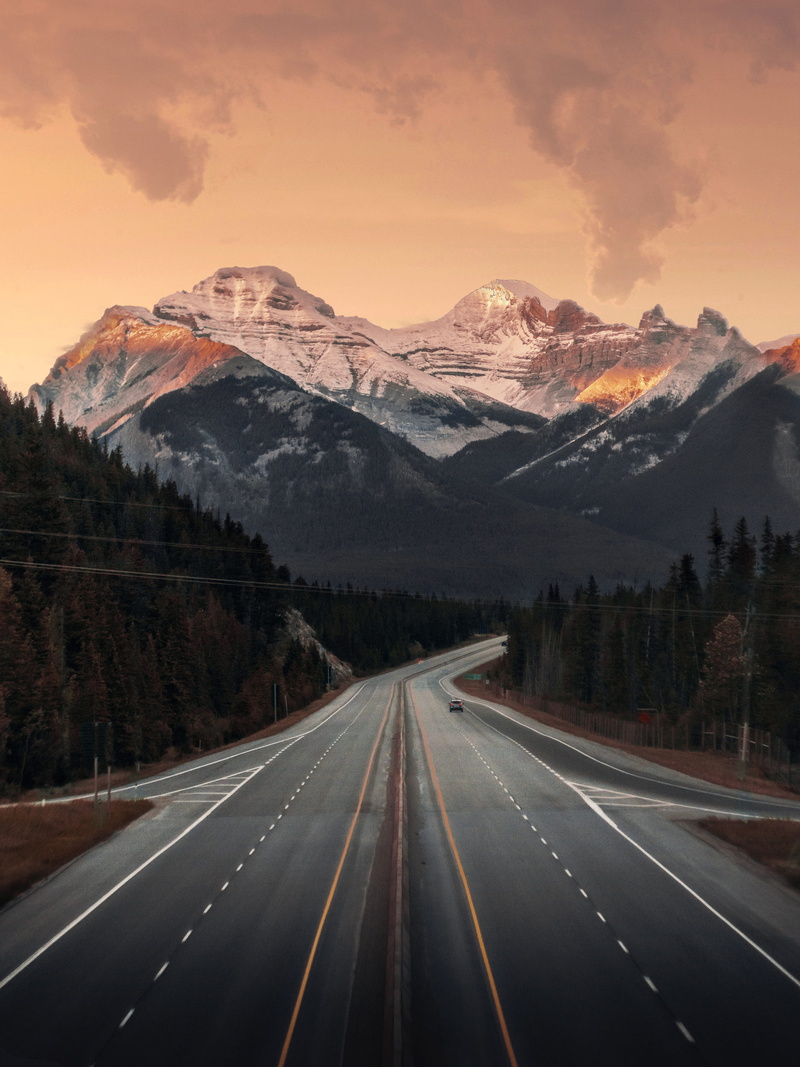 sunlight, transportation, beauty in nature, outdoors, mountain, cloud, the way forward, trees, 4K, scenics - nature, mountain peak, dream, tree, dividing line