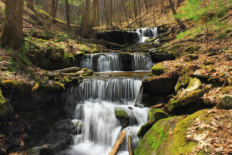 stream, daytime, waterfalls, forest, creek, rocks, Run, beauty In Nature, Pennsylvania, freshness, leaf litter, Wilds, river, spring, tropical Rainforest
