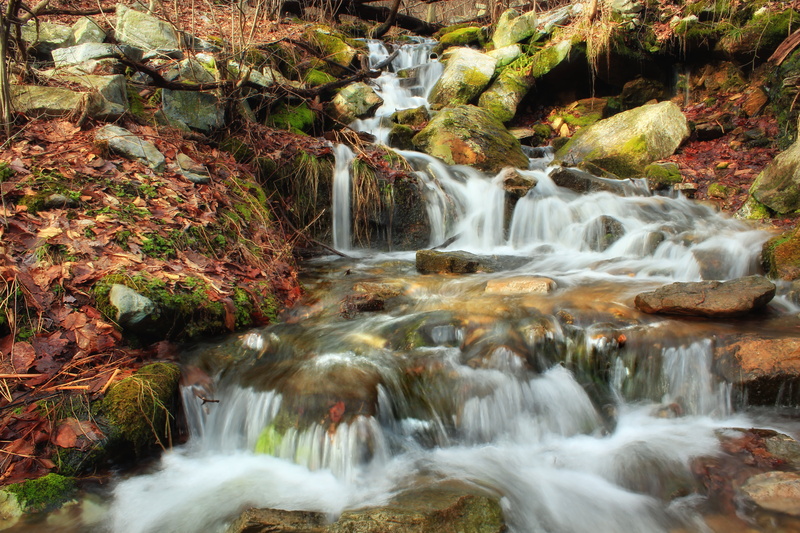 leaf, tree, winter, water, Northampton County, creative commons, beauty In Nature, nature, flowing Water, waterfall, photo, cascades  waterfall, rock - Object