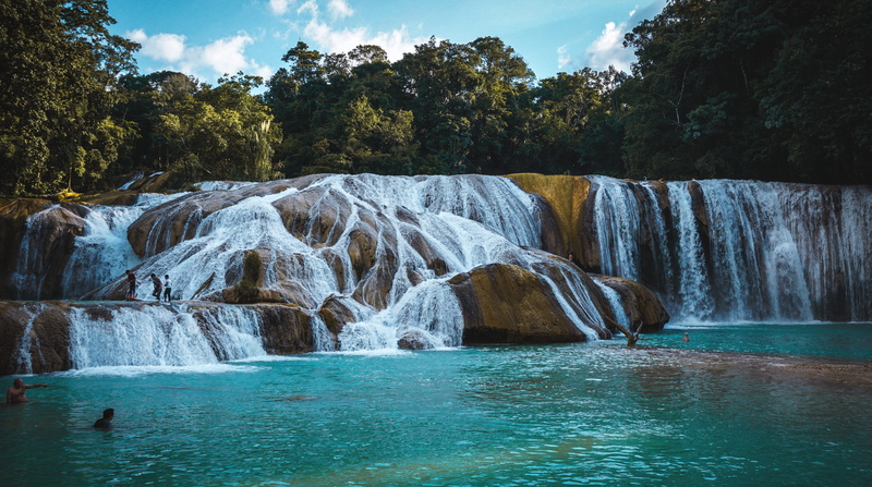 tree, mexico, day, scenics - nature, watefalls, non-urban scene, solid, colorful, outdoors, flowing, plant, no people, motion, sky, flowing water, beauty in nature