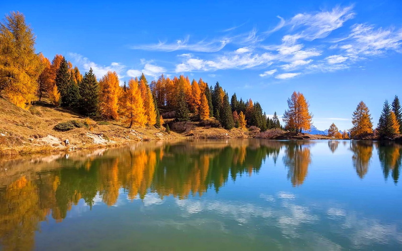 forest, sky, growth, Italy, non-urban scene, plant, tree, water, remote, tranquil scene, lake, nature, landscape, scenics - nature, no people, change, fall