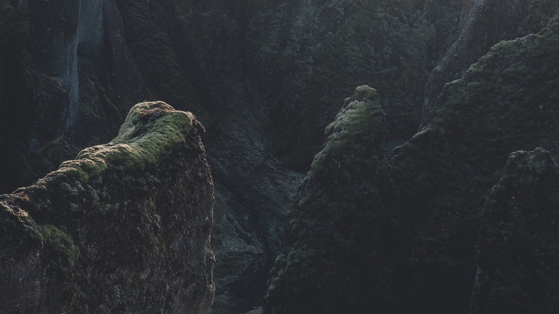 one animal, rock formation, outdoors, day, animal themes, formation, forest, tree, nature, animal wildlife, no people, beauty in nature, tranquility, plant