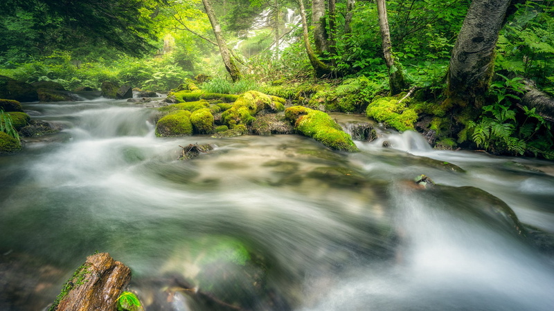 blurred motion, stream - flowing water, rock - object, land, solid, no people, scenics - nature, non-urban scene, rainforest, woodland, long exposure, waterfall