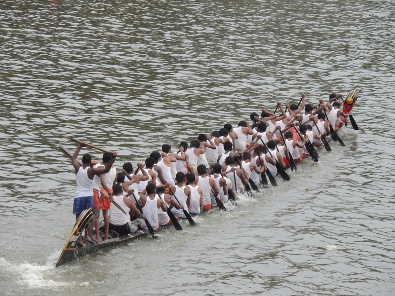traditional, rowing, lake, Asia, real people, sculling, river, boat, adult, leisure activity, people, crowd, nautical vessel, vessel, women, sport rowing