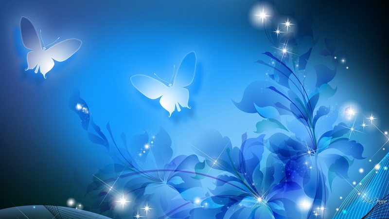 lights, Abstract, collage, silhouette, bokeh, 1080P, animation, butterfly, plant, abstraction, flower