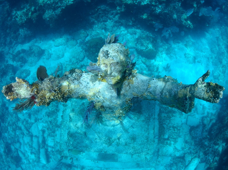 beauty in nature, outdoors, nature, christ, Bottom, Sea, Fish, Marine Species, no people, scuba diving, Closeup, abyss, animal themes, Florida, Wonderland