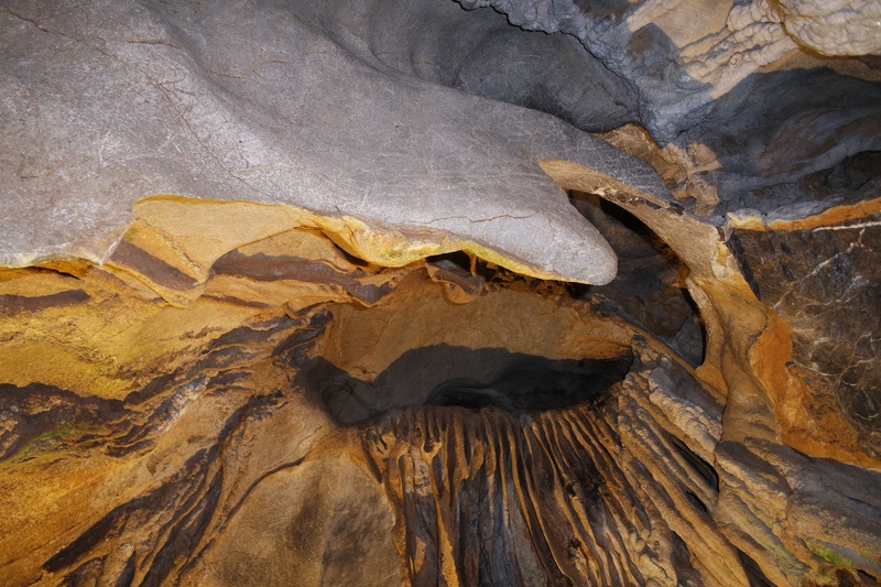 animals in the wild, animal themes, animal wildlife, beauty in nature, cave, no people, solid, rock formation, geology, rock, close-up, outdoors, 5K, reptile