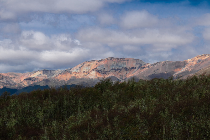 coniferous tree, chile, chelenko, plateau, sky, daytime, outdoors, chile chico, mallín-grande, no people, el furioso, landscape, snowcapped mountain, mountain range