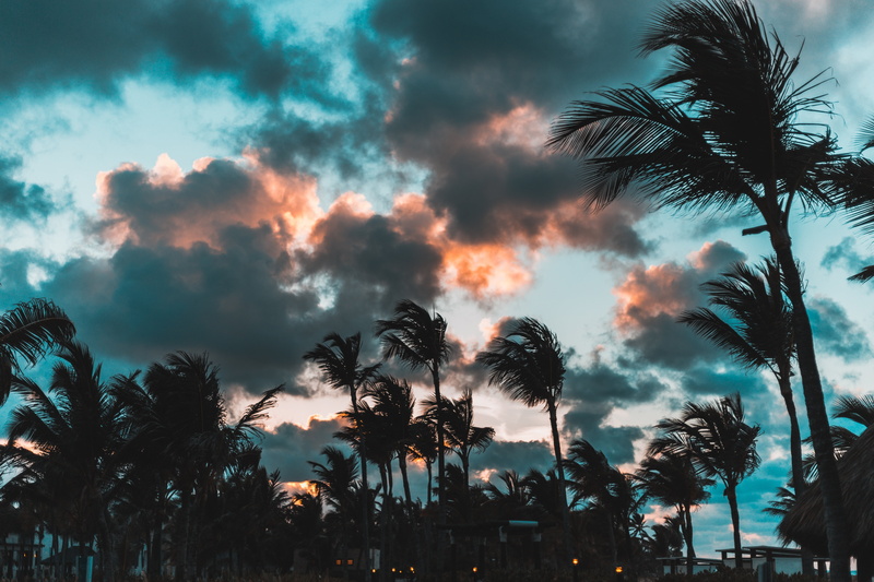 coconut, tranquil scene, tropical Climate, tourism, scenics, coastline, tranquility, dominican republic, clouds, dusk, summer, beauty In Nature, tropics
