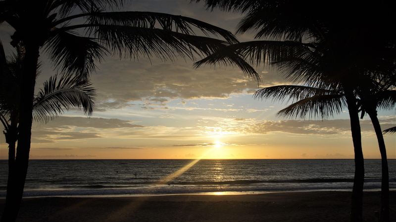 4K, palms, dominican republic, sunrise, sky