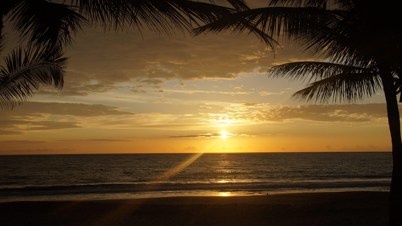 exotic, sky, dominican republic, 4K, horizon, palm tree, palms, summer, sunrise, tropical