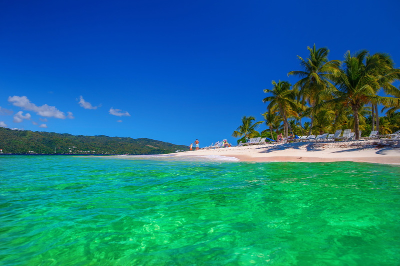 beach, travel, trip, tropics, trees, turquoise colored, tourism, bay, lagoon, tranquility, body, near, atlantic, palm trees, land, plant, beauty in nature