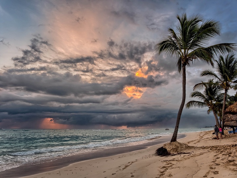 sunset, beach, 1080P, shore, scenics - nature, horizon, clouds, cloud - sky, sun, plant, water, palm trees, ocean, palm Tree, sand, day, tranquil scene