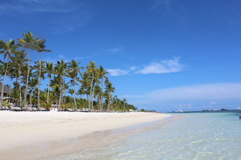 vacation, dominican republic, exotic, idyllic, travel, ocean, sea, lagoon, plant, blue, 5K, paradise, coconut palm tree, tranquility, tranquil scene, island