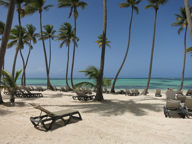 horizon over water, paradise, tree, scenics - nature, land, plant, 4K, tranquility, tranquil scene, outdoors, water, tropical climate, dominican republic