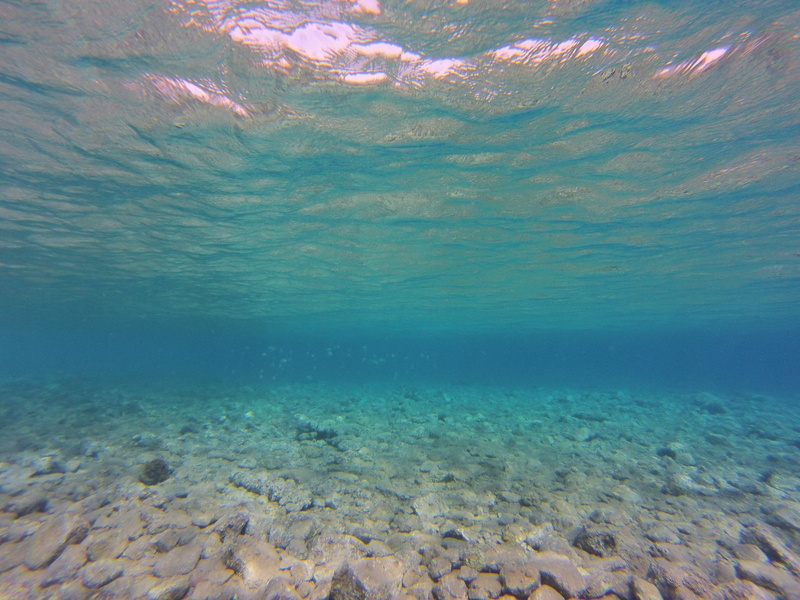 underwater world, clean, sea, ocean, salt water, turquoise colored, diving, snorkeling, sea life, fish, swimming, animal themes, clear, no people, water