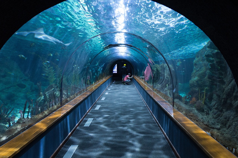 arch, clear, incidental people, travel, direction, group of people, water, illuminated, nature, 5K, architecture, day, diminishing perspective, cave, transportation