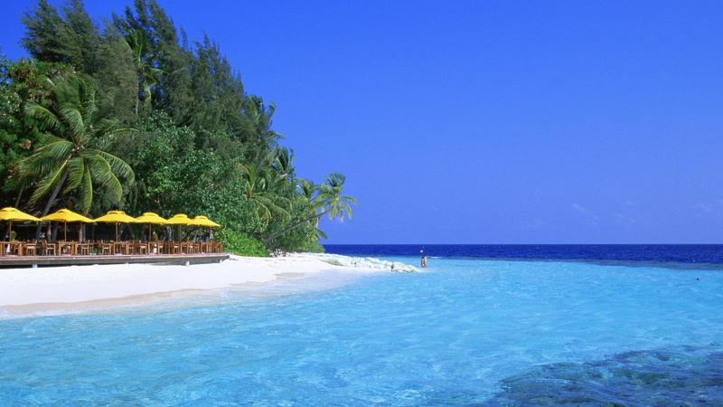 maldives, beach, clear water, nature and landscapes, restaurant, clear, water, 1080P, palms