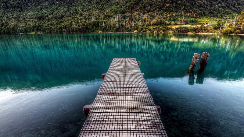 new zealand, scenics - nature, no people, tree, day, direction, queenstown, idyllic, lake wakatipu, tranquility, plant, reflection, 1080P, outdoors, amazing