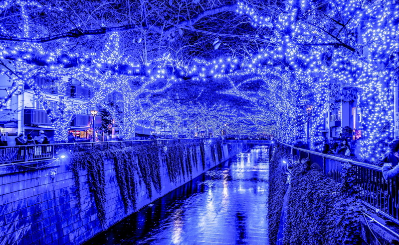christmas lights, architecture, no people, plant, connection, Asia, tokyo, reflection, night, lights, purple, outdoors, christmas, built structure, canal