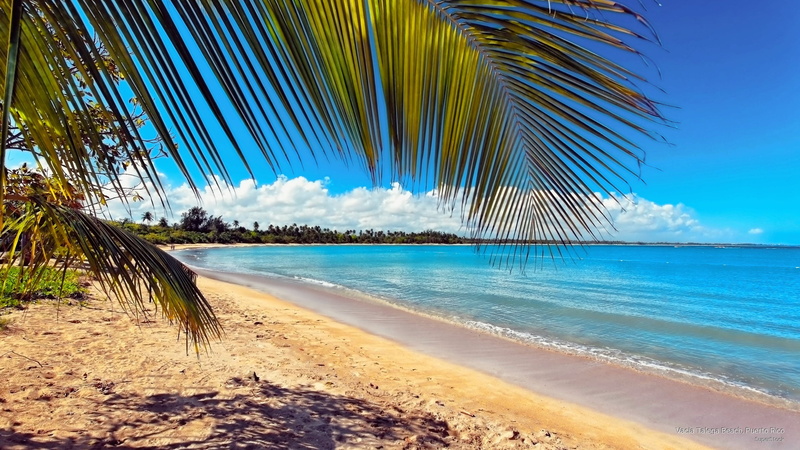 2K, rico, Beaches, puerto, beach, talega, vacia