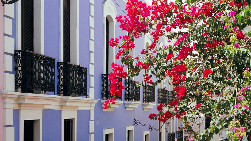 1080P, multicolor, rico, puerto