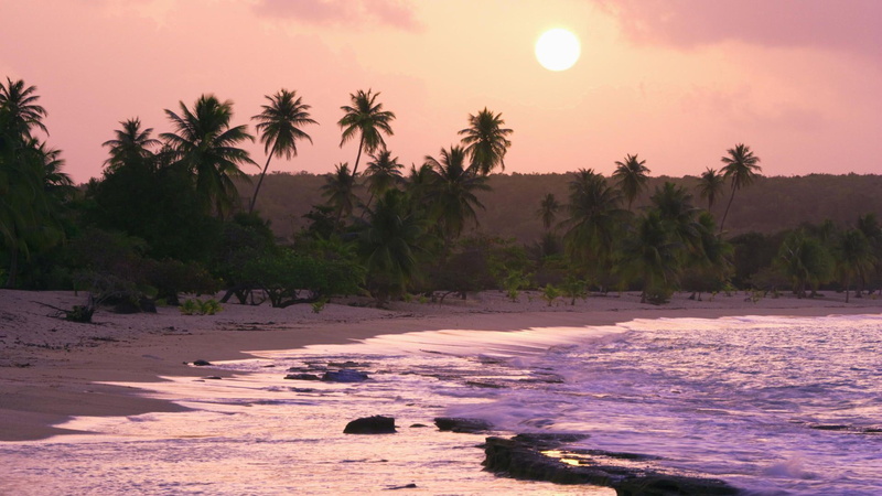 nature and landscapes, 1080P, palms, waves, puerto, beach, wonderful, rico