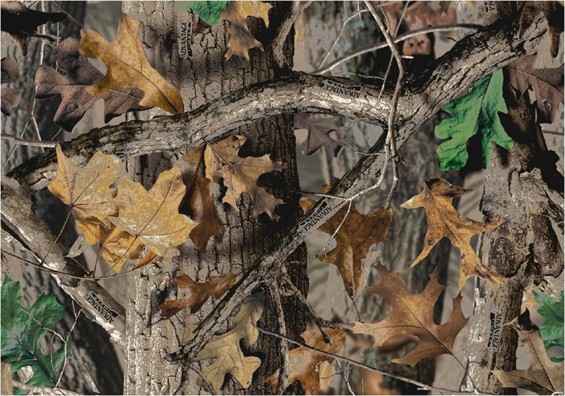Wallenstein Ais, 720P, Woodland Camouflage, camouflage