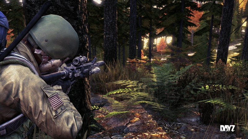 plant, nature, unrecognizable person, dayz video games, military, forest, woodland, rifle, day, men, camouflage clothing, trunk, weapon, government, tree trunk