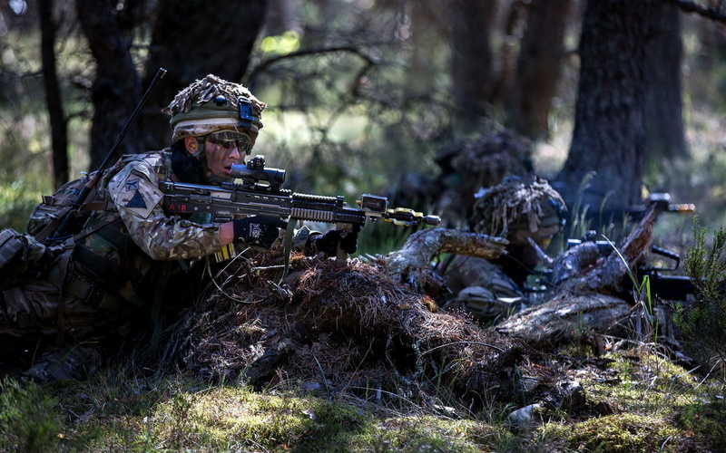 aiming, camouflage clothing, army soldier, gun, weapon, armed forces, soldiers, adult, 1080P, military, mature men, plant, nature, uniform, weapons, forest