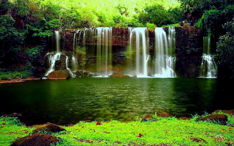 pond, desktop, thick, hd, weed, green, waterfall, 1080P, river, forest