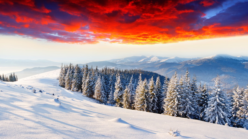 Winter, Thick, Snow, Sunrise, Forest, Cold, Mountains, Glow, 2K